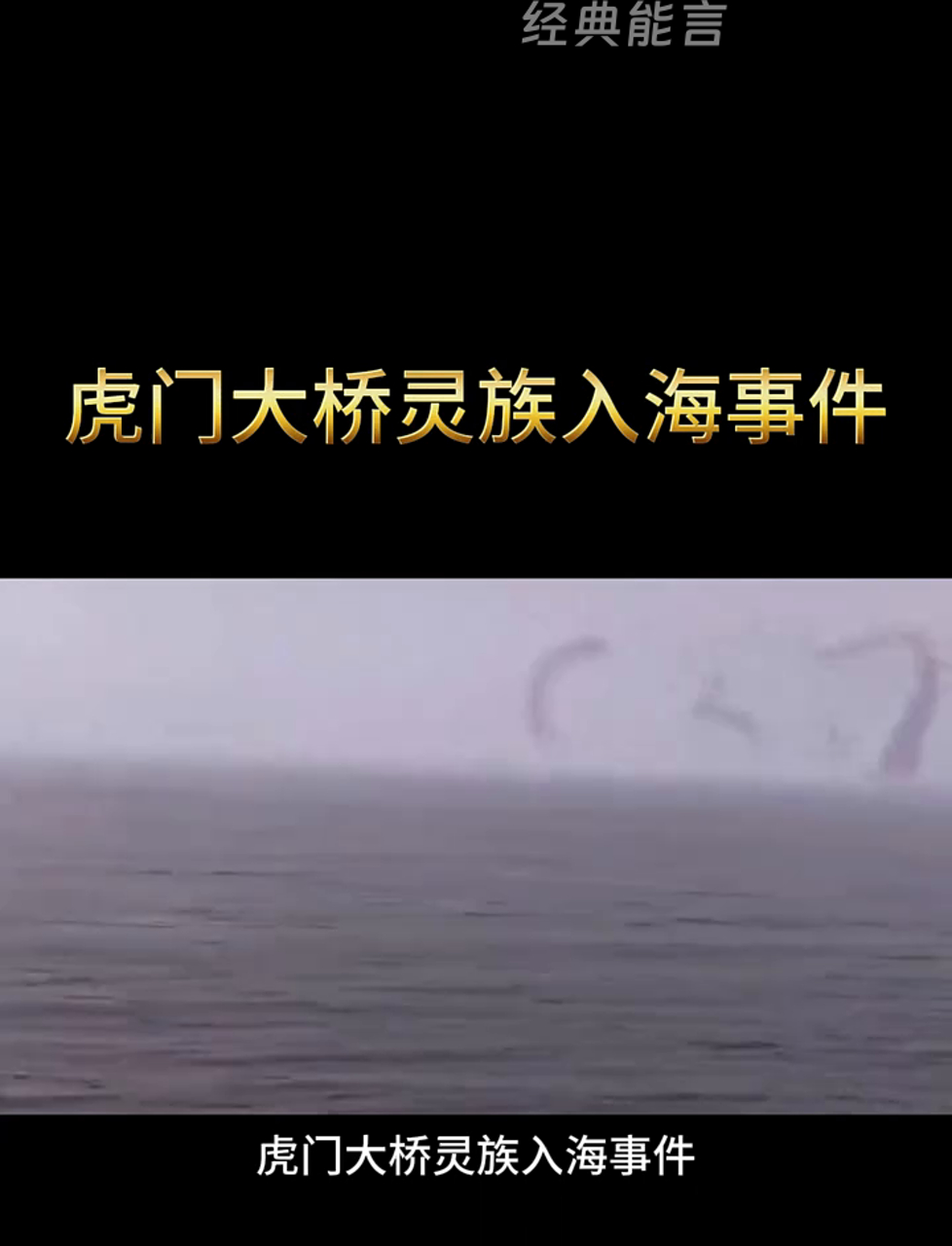 虎门大桥惊现神秘族群,直冲大海!