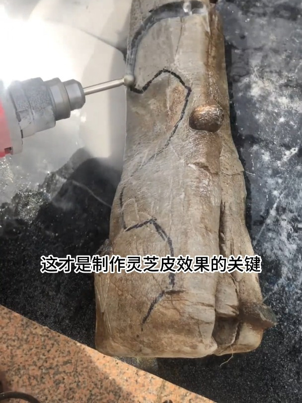 做附石盆景成功的因素,三分靠技术,七分靠工具!