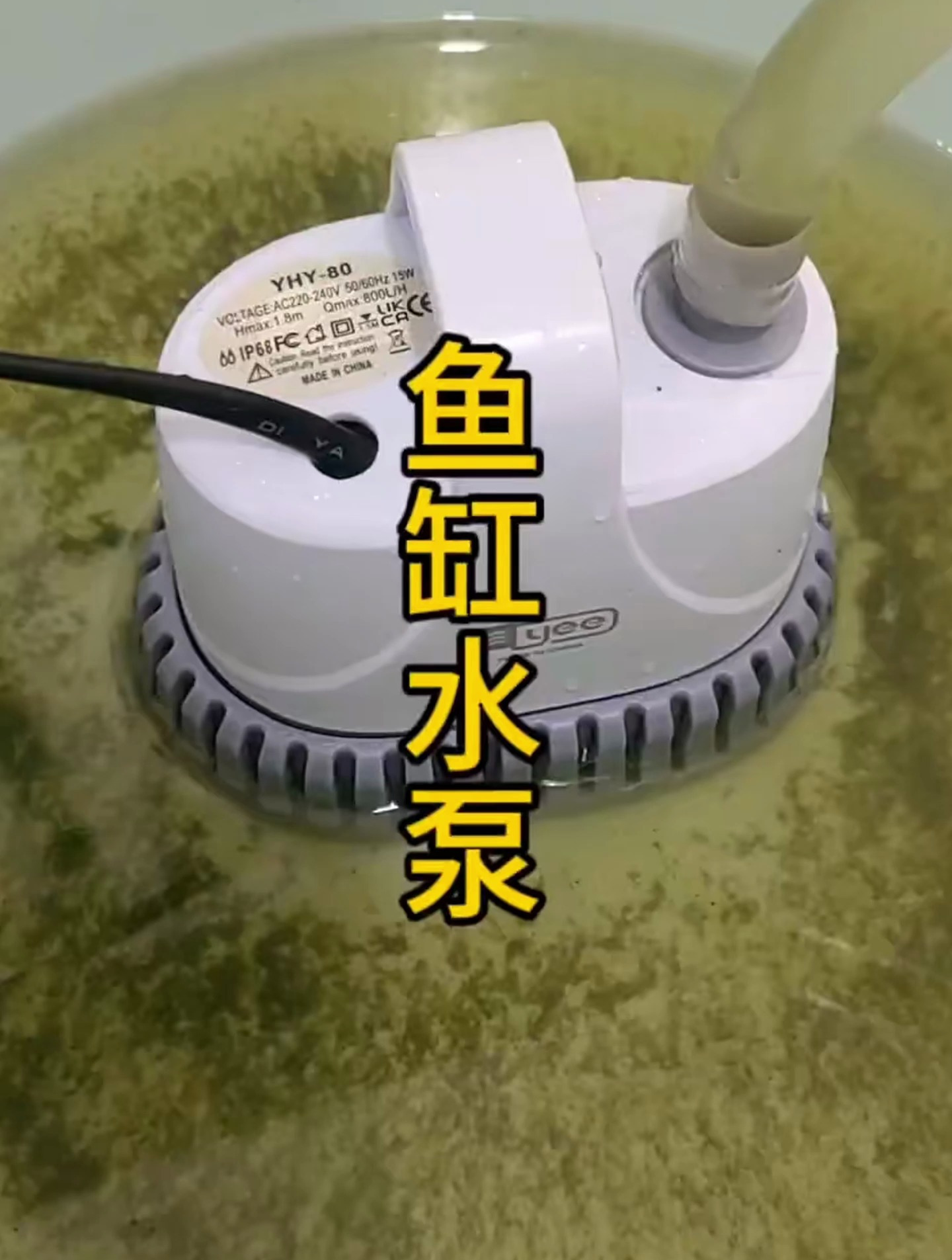 这是一个鱼缸抽水泵,静音无声抽水速度快,方便好用