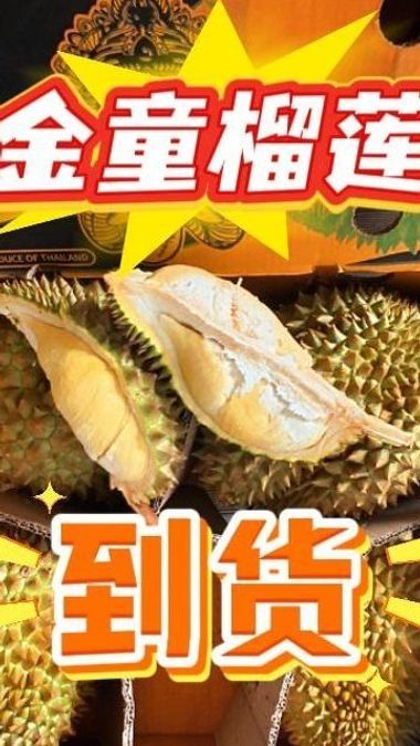 金童榴莲到货！