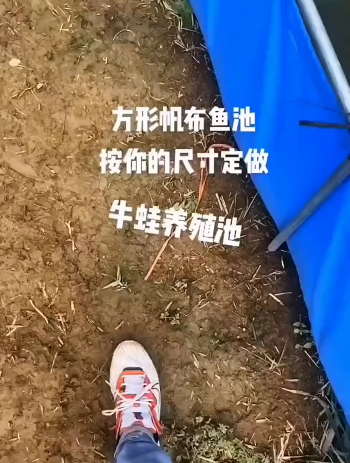 工厂一手货源,方形养鱼池定做,有空地就可以养,帆布帆布鱼池