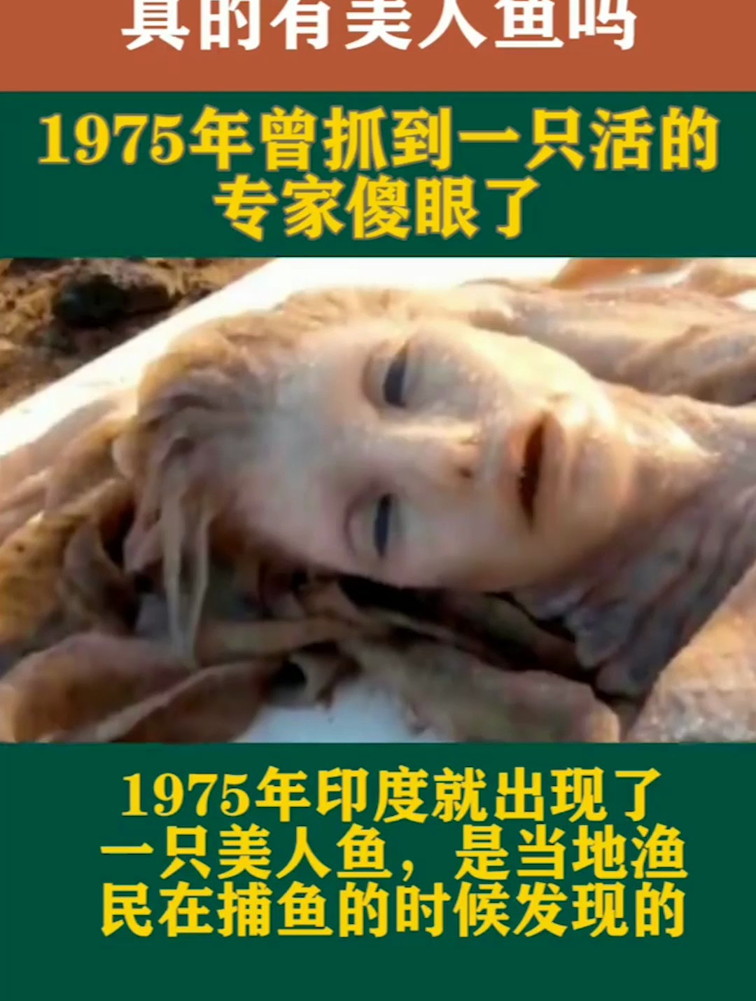 地球上真的有美人鱼,1975年印度曾抓到一只活的,专家傻眼了