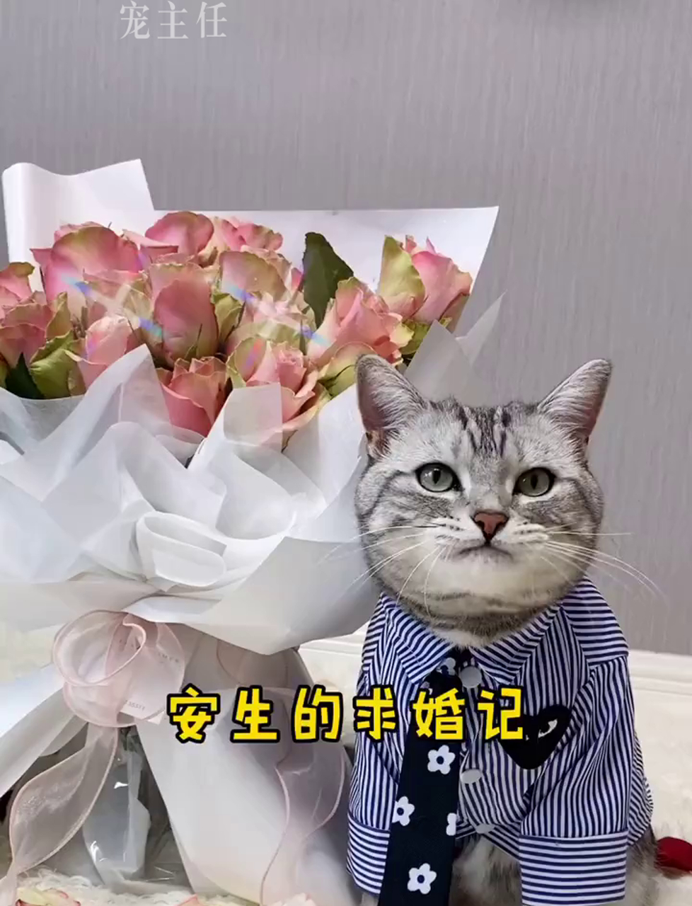 泡芙和安生终于公开恋情啦!在大伙儿的见证下,这辈子只对你泡芙温柔以待