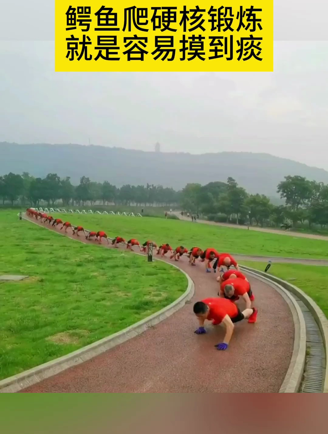 鳄鱼爬硬核锻炼,就是容易摸到痰