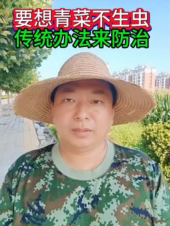 青菜不生虫的传统防治方法