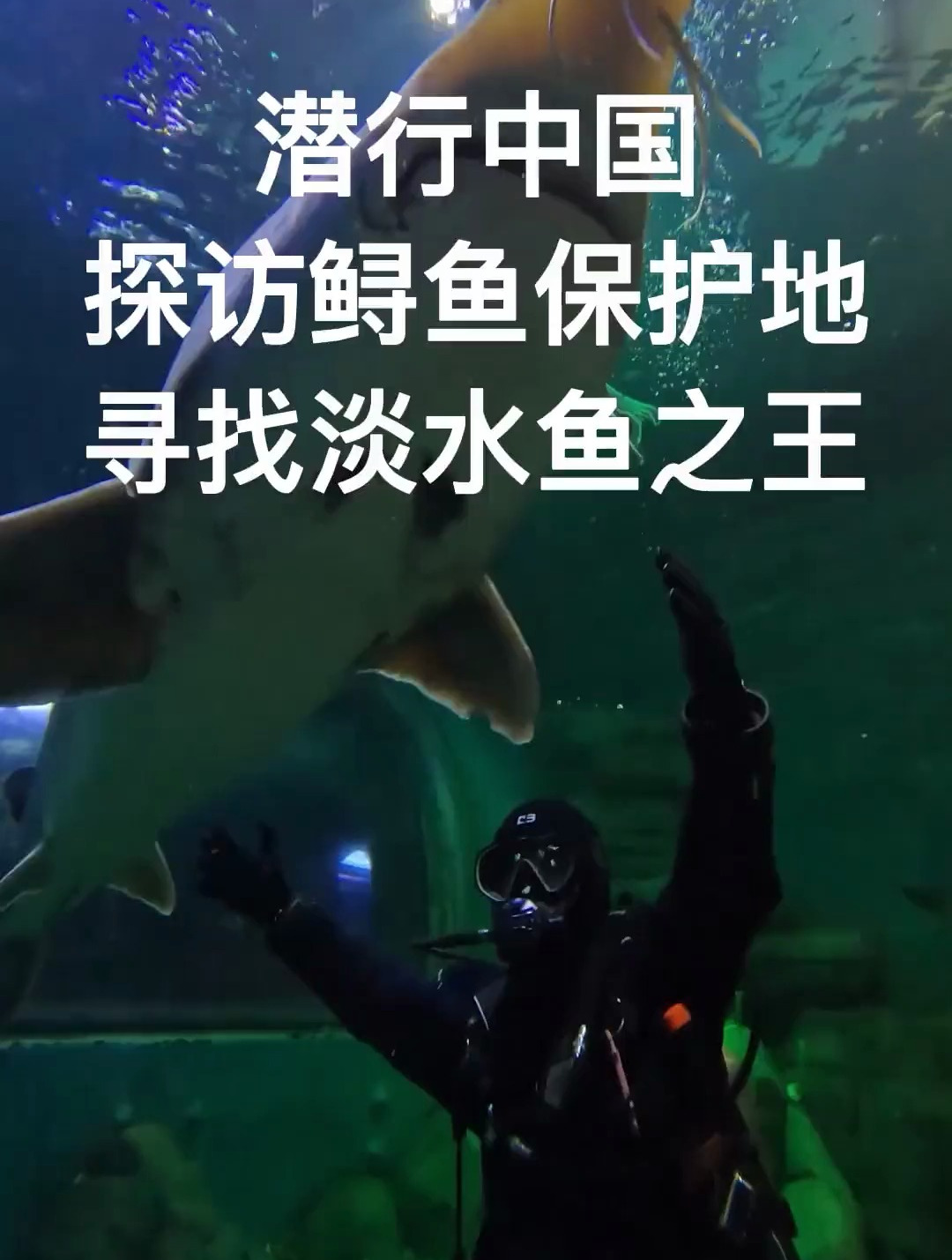 探访鲟鱼保护地寻找淡水鱼之王!感谢每一个为保护环境而努力的你