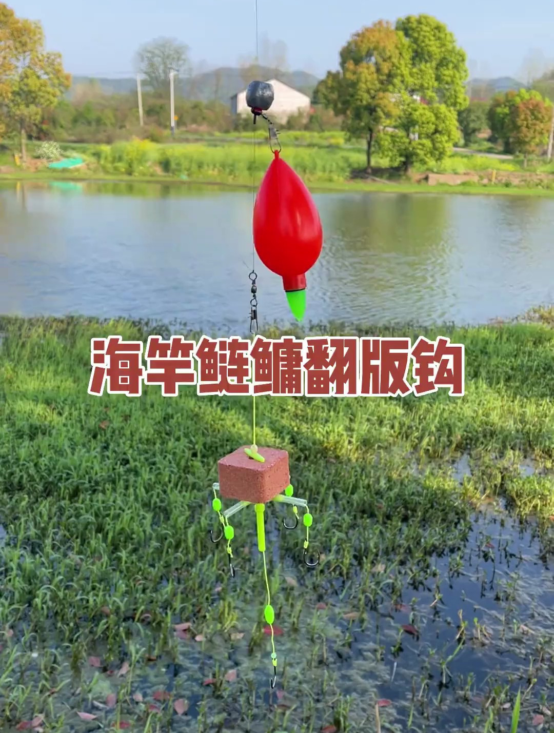 钓鲢鳙还得是他,鲢鳙 钓鱼 浮钓鲢鳙 钓鲢鳙技巧 海竿钓鲢鳙