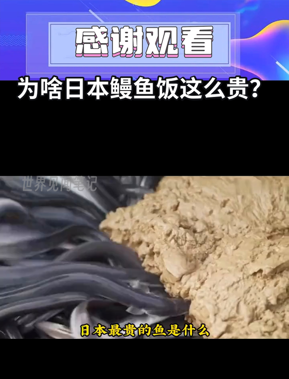 为啥日本鳗鱼饭这么贵?