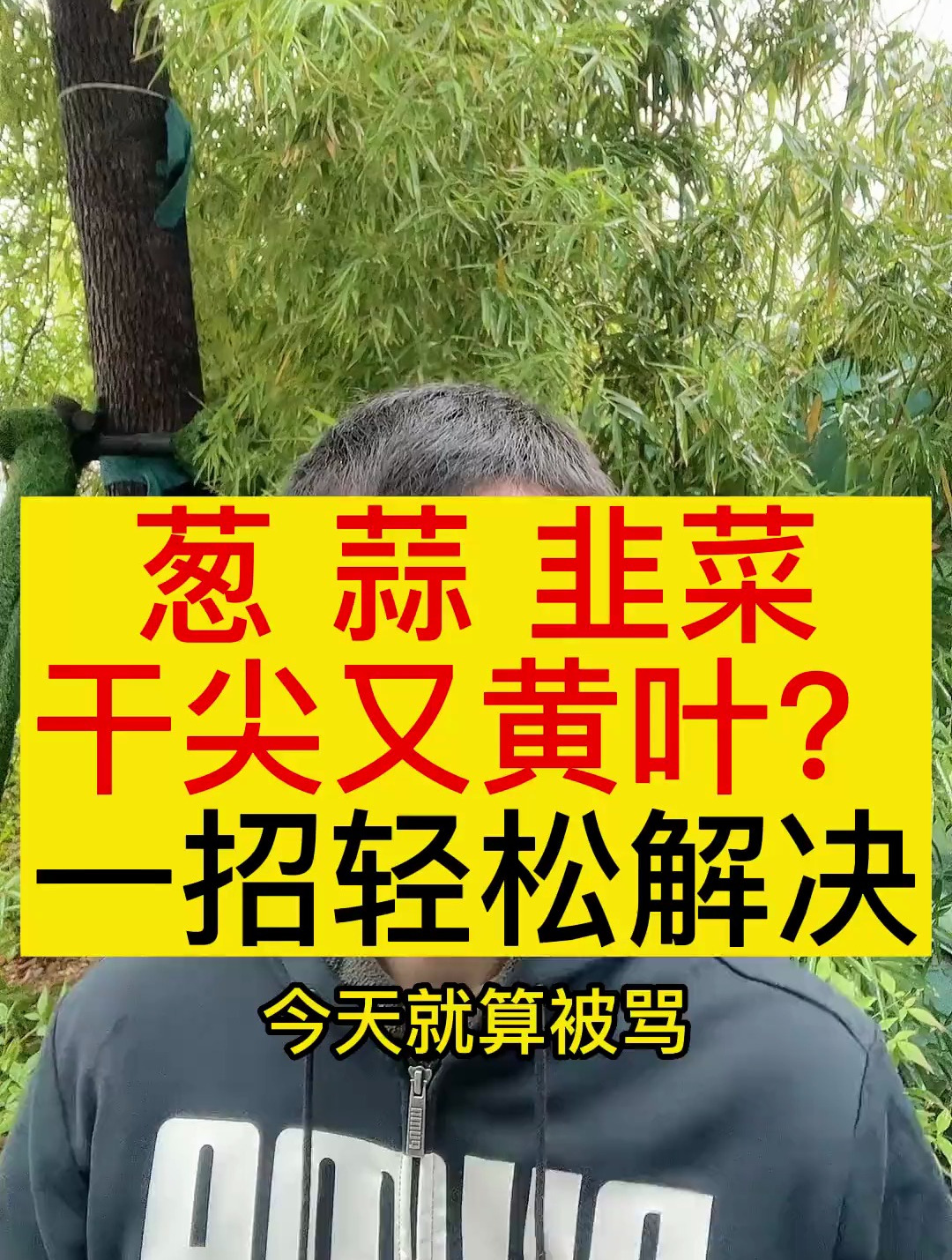 葱蒜韭菜干尖黄叶一招解决,分享农业知识帮农民增产增收