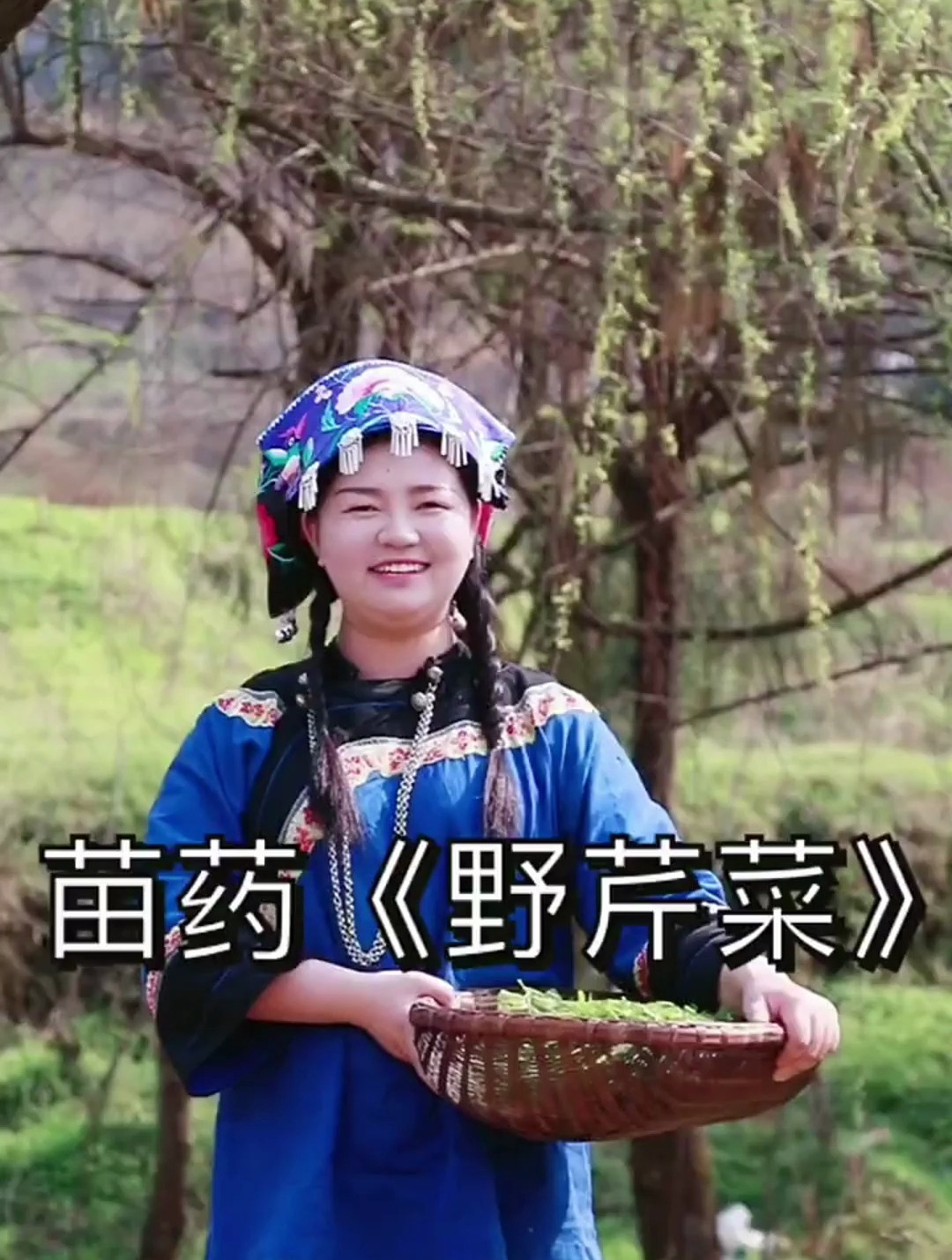 山野菜 一起尝一尝野芹菜