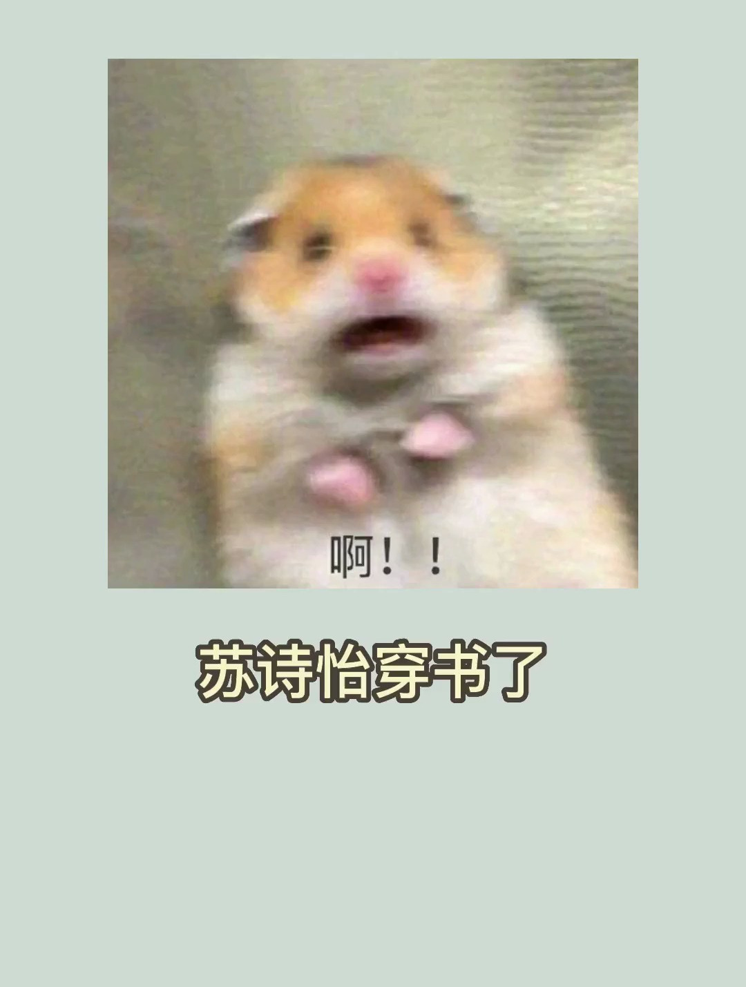 《豪门小可怜太有钱了》作者:草莓珍珠蛋糕