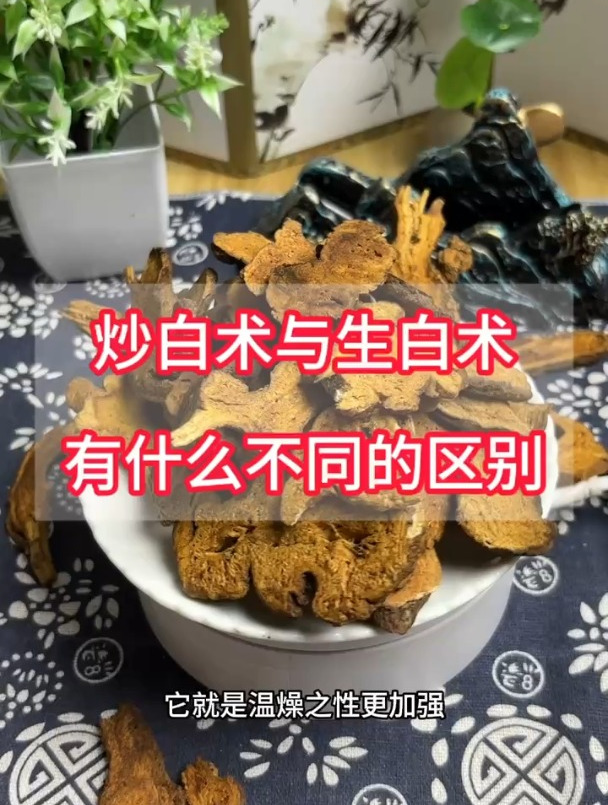 炒白术与生白术,有什么不同的区别