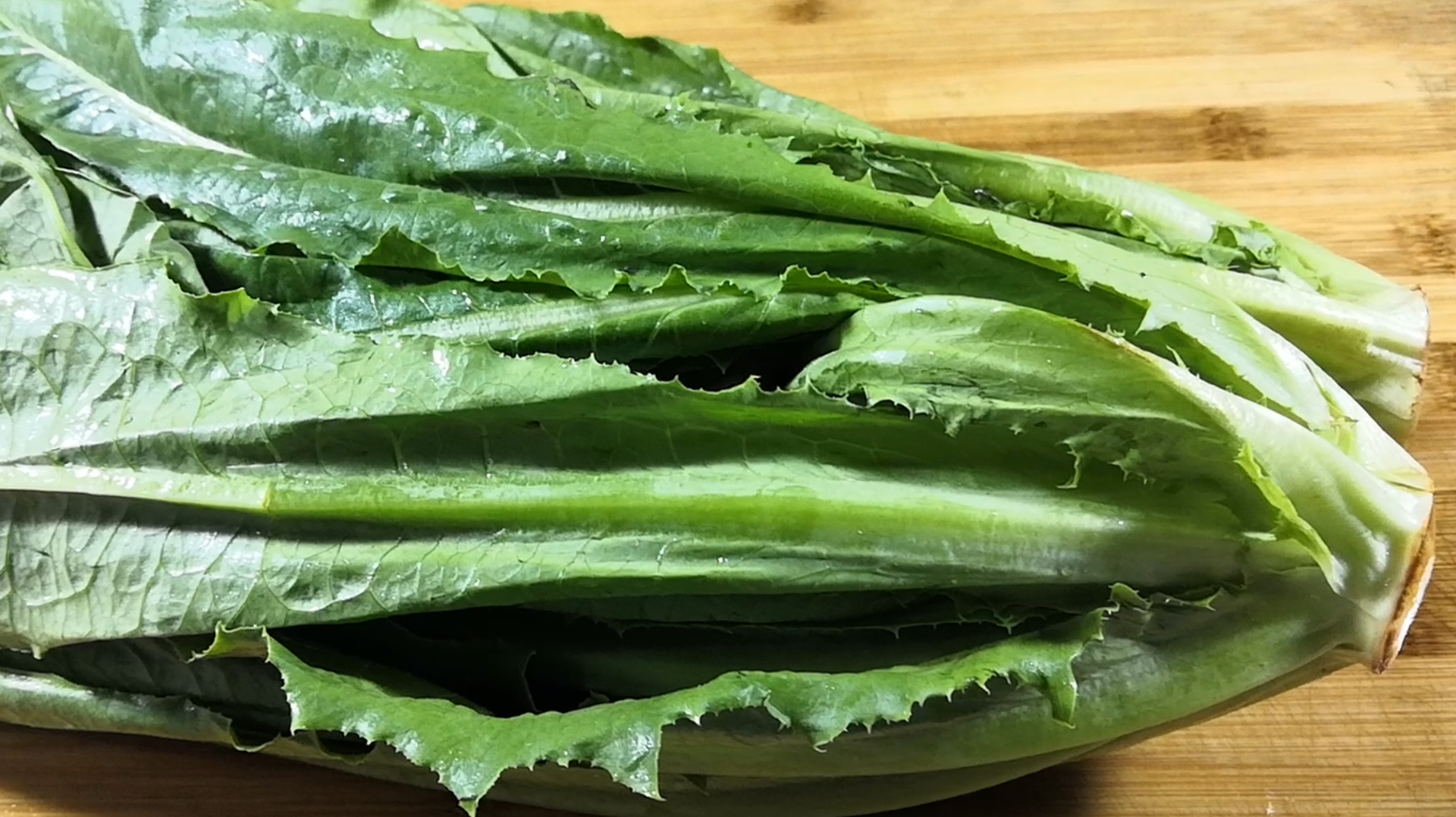 广东人也太会做油麦菜了,香味浓郁营养简单,我家隔三差五做一次