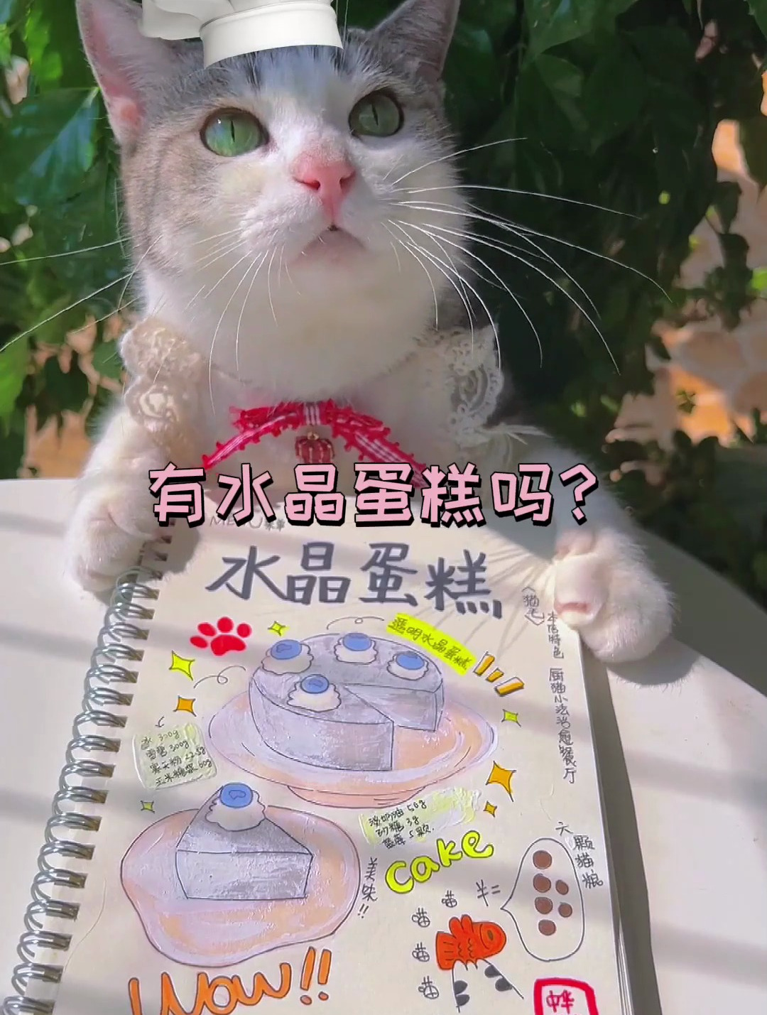 超级适合小仙女吃的水晶蛋糕 男孩子快学起来