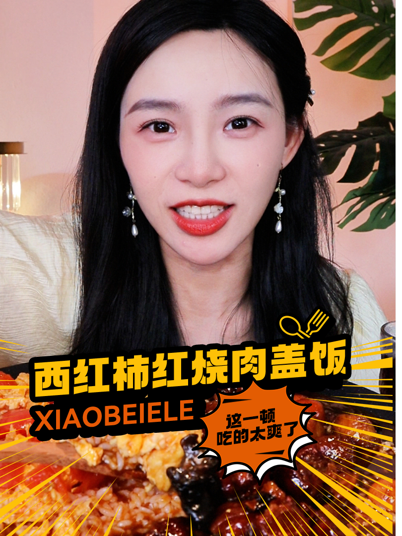 一个人花0元在家吃西红柿炒鸡蛋红烧肉双拼盖饭,简直香飞了