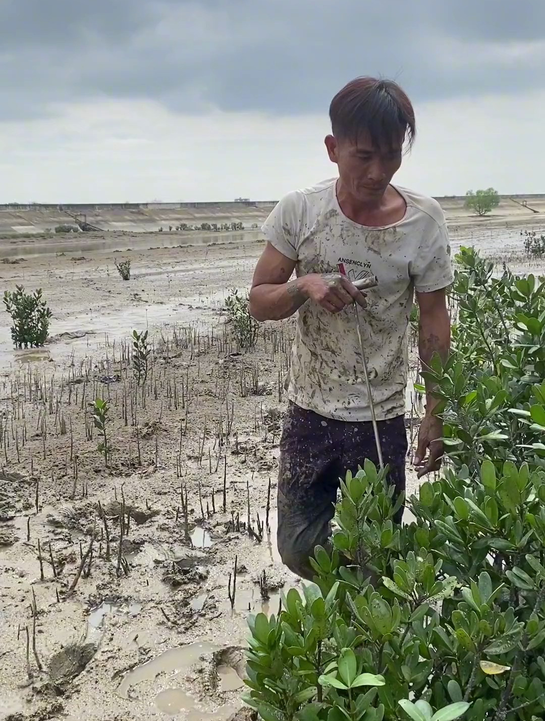 野生海黄鳝真的是史上第一次自己无路可逃到最后自己自投罗网了