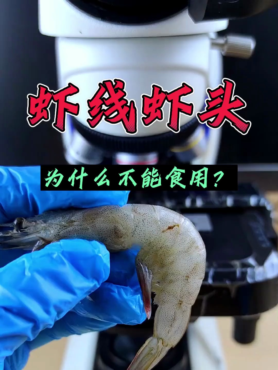 为什么虾线虾头不建议食用?