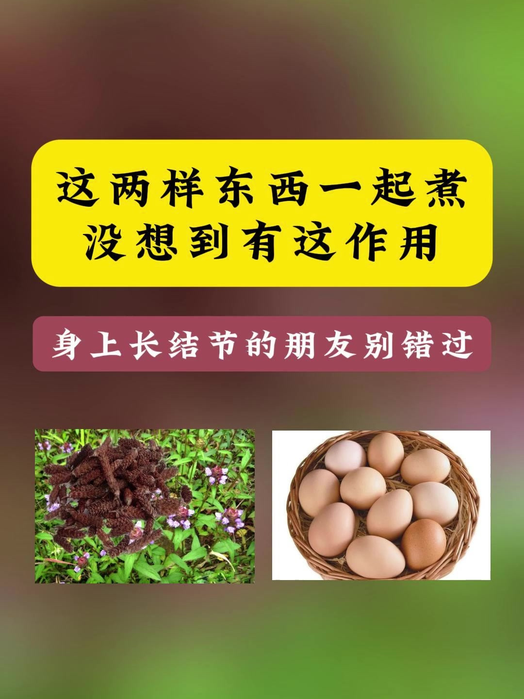 夏枯草煮鸡蛋对付结节不手软