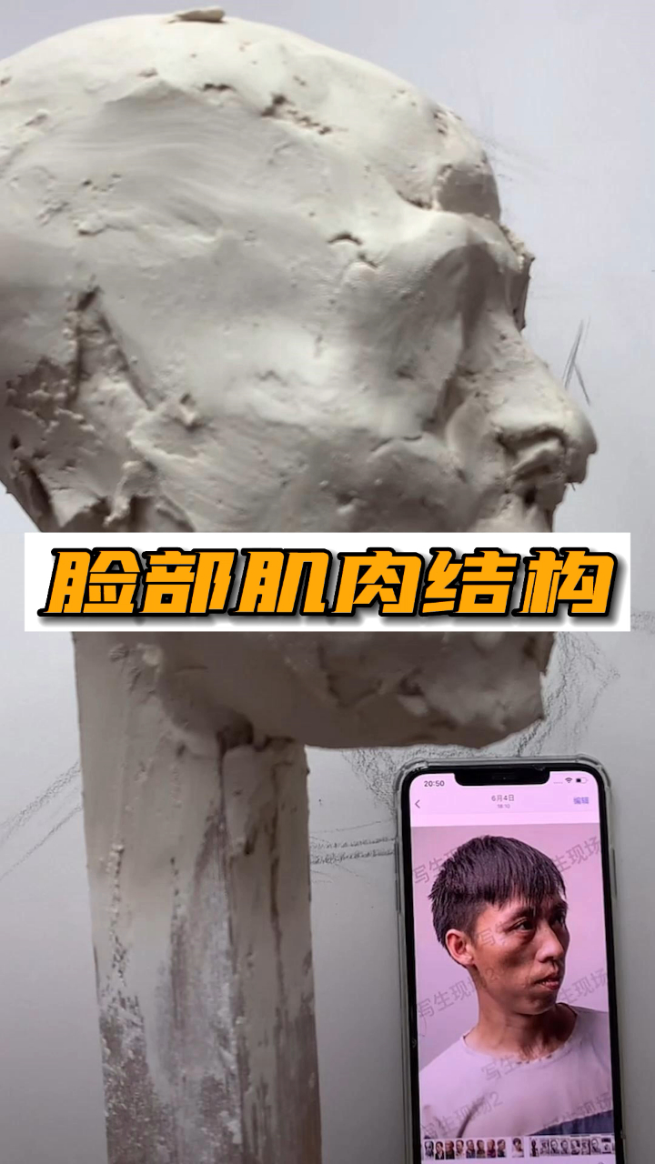 脸部肌肉结构有哪些