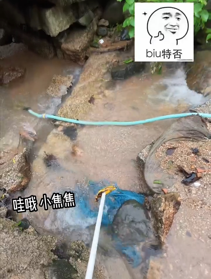 七夕快到了给大家做了一个可爱的小蛋糕 美食 美女