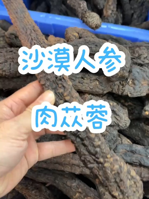 内蒙古地道产区产的肉苁蓉,才是比较好的,不知道你听过没有