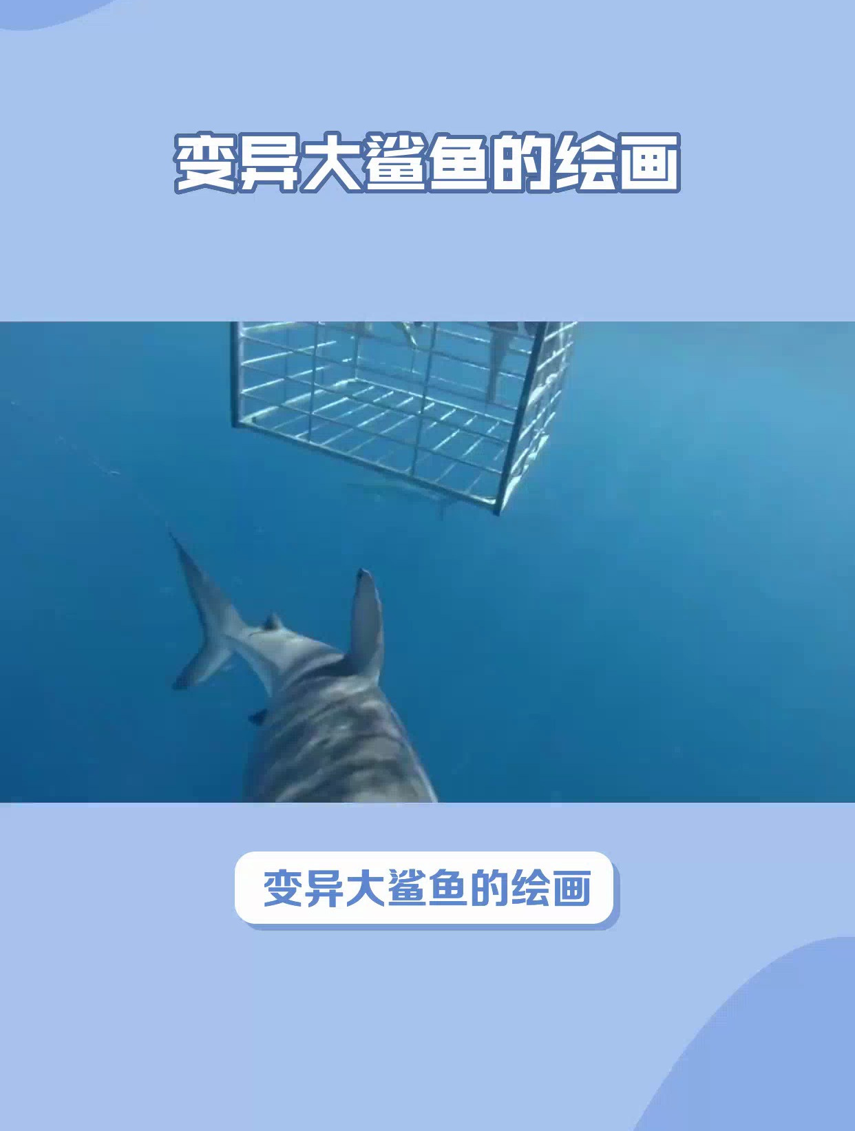 变异大鲨鱼怎么画?