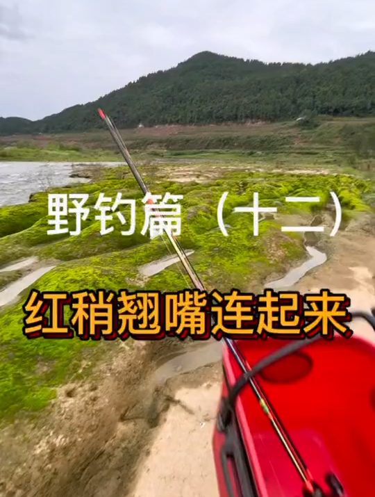 天气凉了路亚只要找好标点以上连连连，红稍翘嘴轻松上鱼