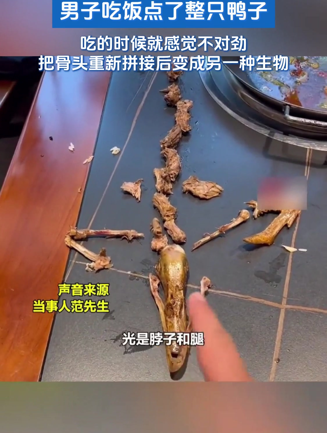 男子吃饭点了整只鸭子,吃的时候就感觉不对劲,把骨头重新拼接后变成另一种生物点资讯剪辑