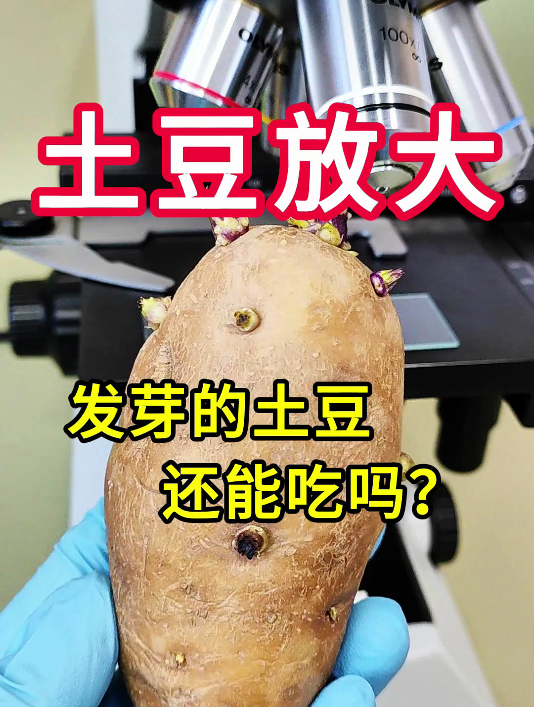 土豆发芽了还可以吃吗?