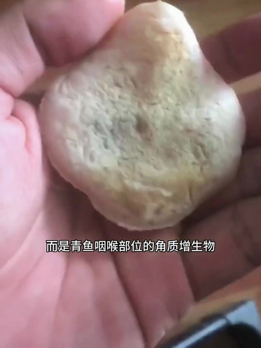 如何正确取青鱼石,这个视频告诉大家!