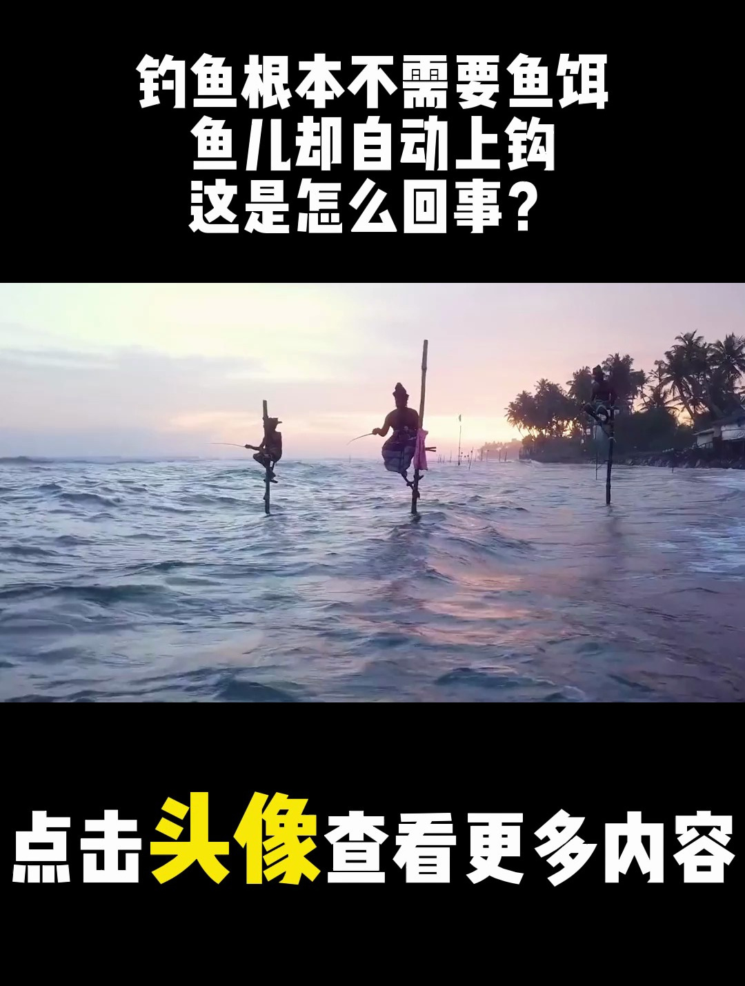 钓鱼根本不需要鱼饵,鱼儿却自动上钩,这是怎么回事?