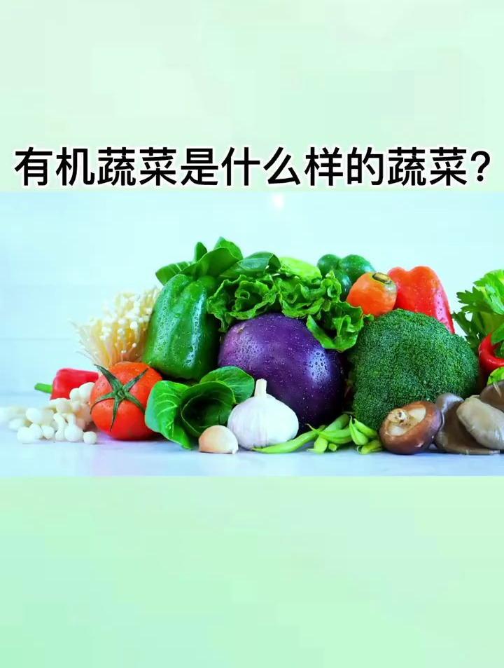 有机蔬菜是什么样的蔬菜?生活小知识 科普一下