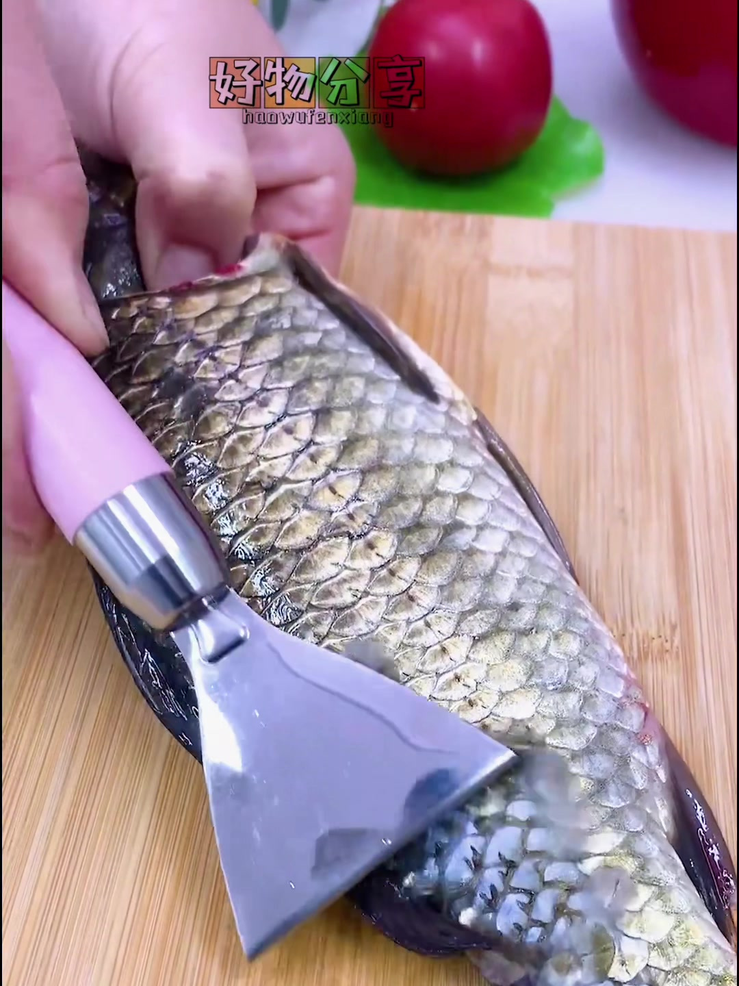 浙江牛人研发“万用鱼鳞刀”火了,轻松去鱼鳞还能挖鱼鳃