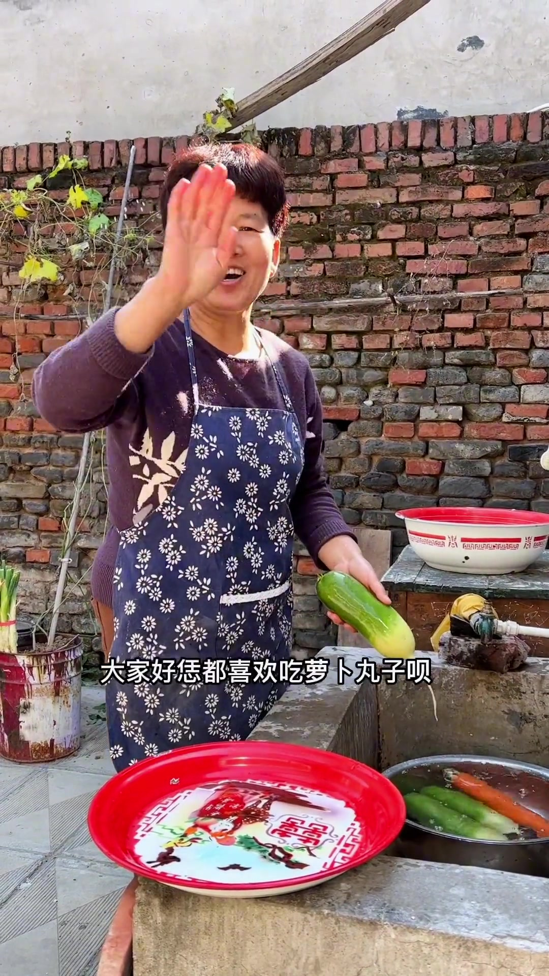 今天分享一个炸萝卜丸子的家常版做法