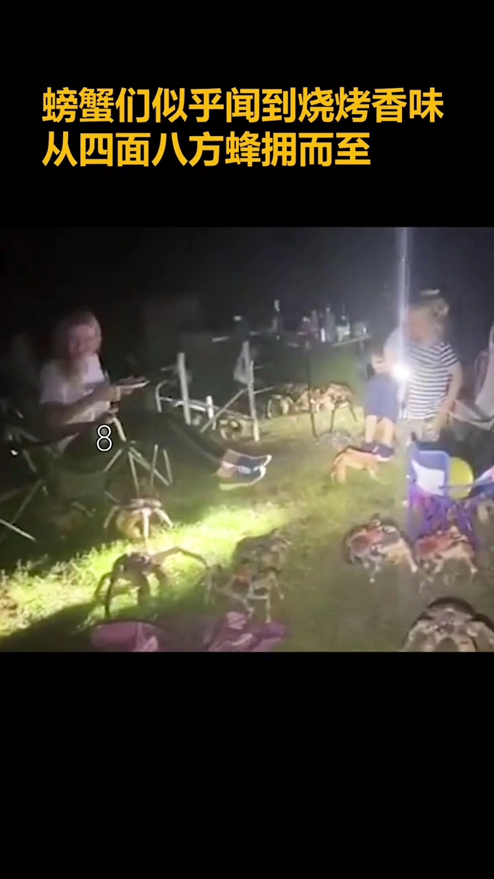 家庭烧烤时爬来一堆面包蟹