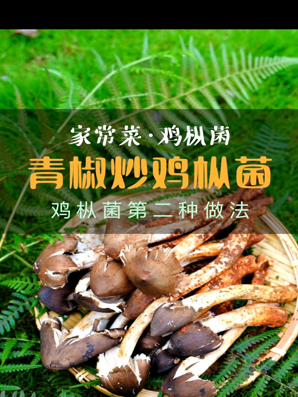 云南野生菌中的“法拉利”青椒炒鸡纵菌做法分享