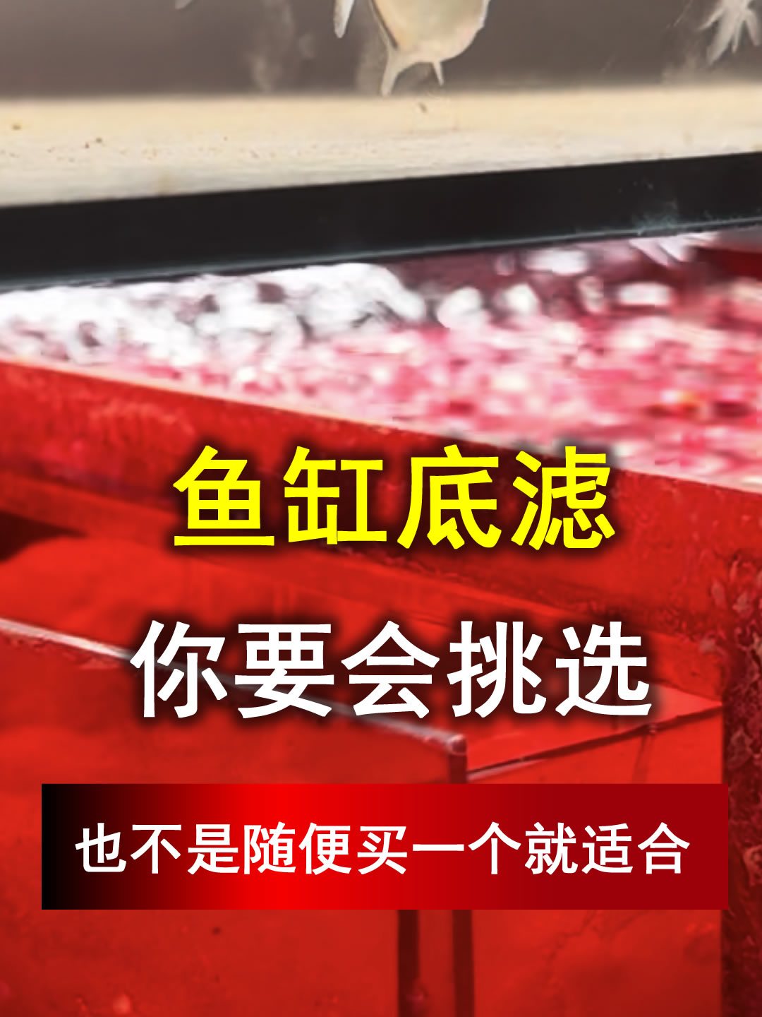 鱼缸底滤缸,你要会挑选,看完至少踩坑