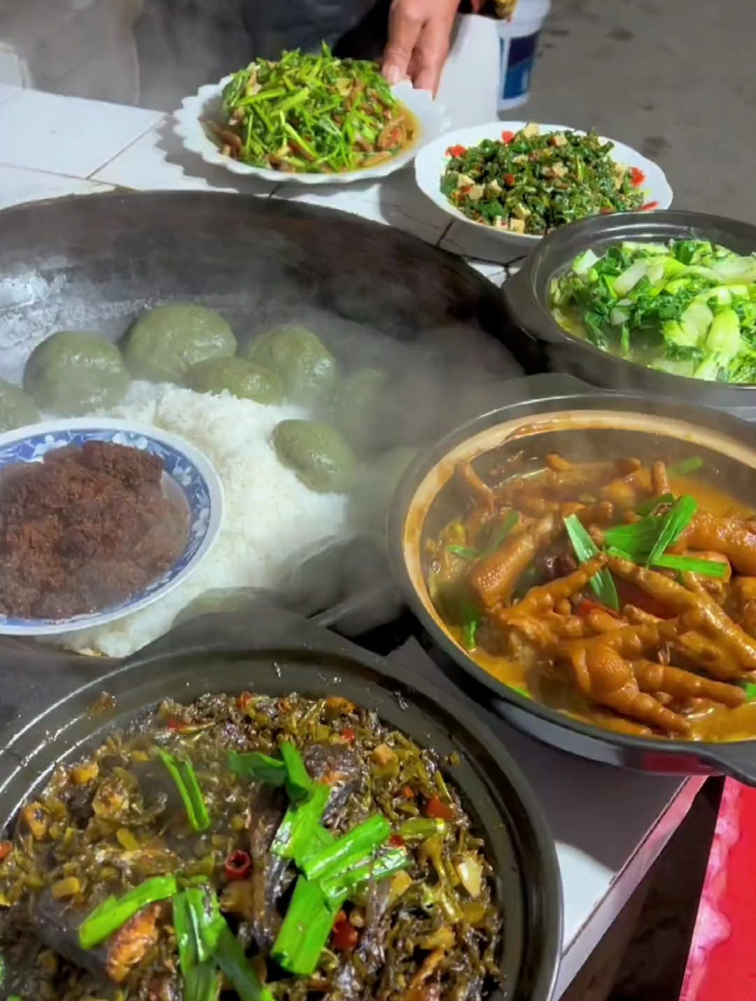 山间地头的野菜都冒出了头,摘点回家,炒上一大盘好美味