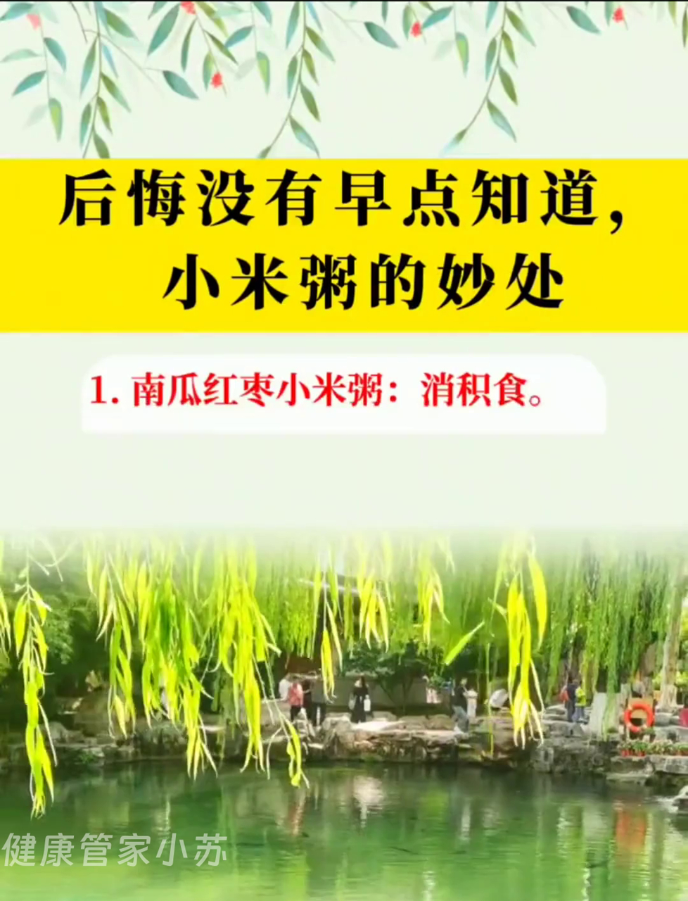 早知道小来粥这么棒,我得早点尝!