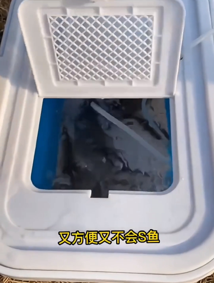 这个钓鱼桶真的很好用,还可以装鱼获,车里再也不会臭哄哄啦