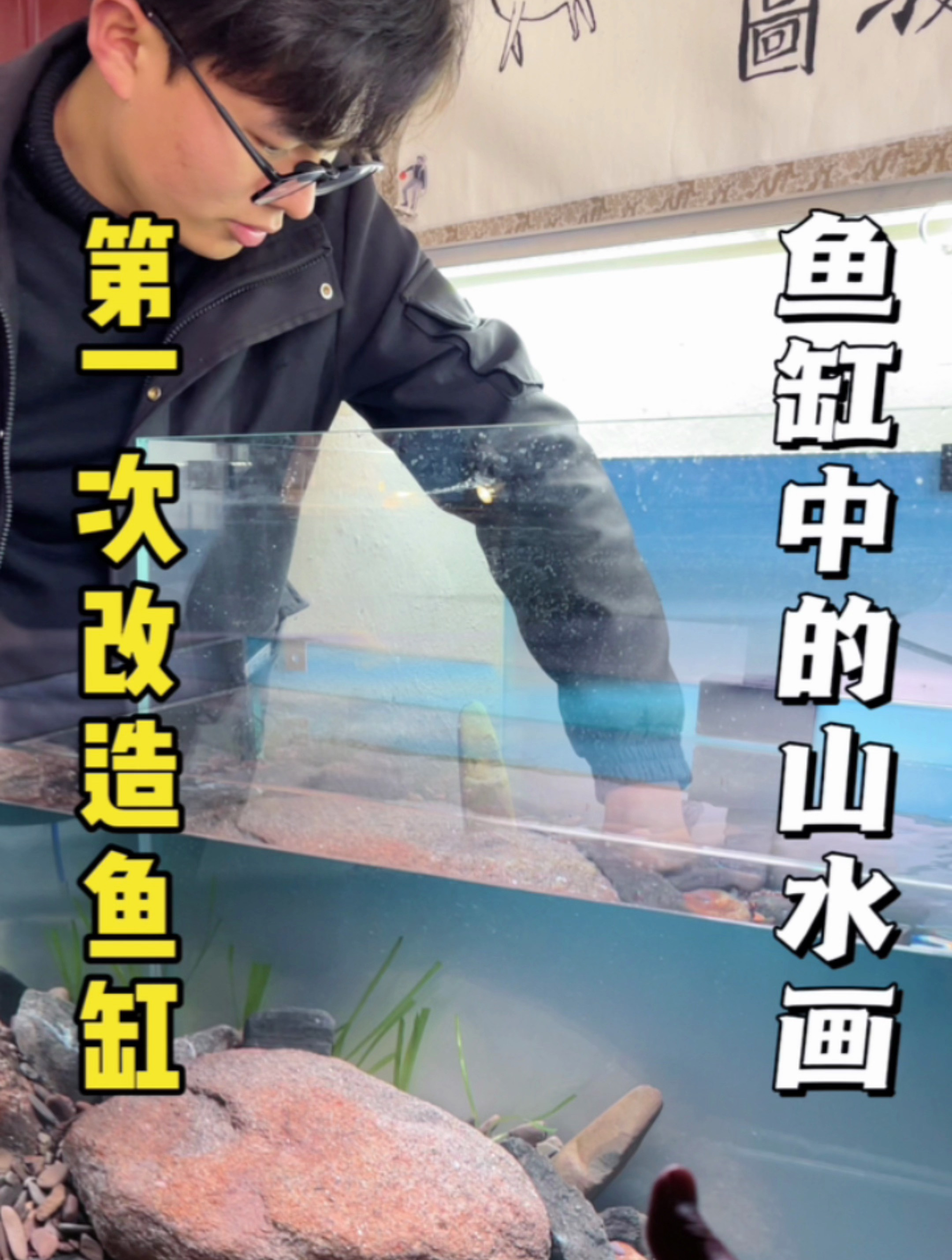很普通的鱼缸改造之后真的太好看了