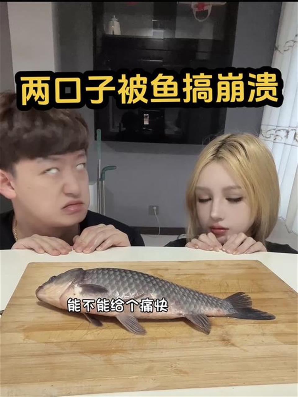 夫妻不敢杀鱼竟惊动电鳗出手代劳!