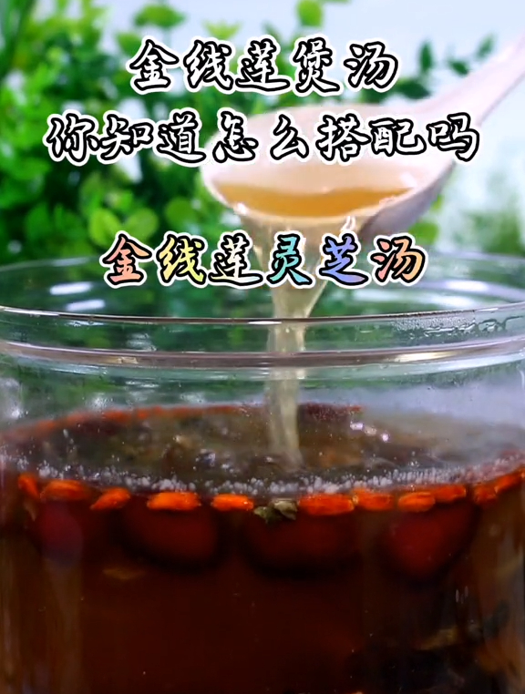 金线莲煲汤,你知道怎么搭配了吗?