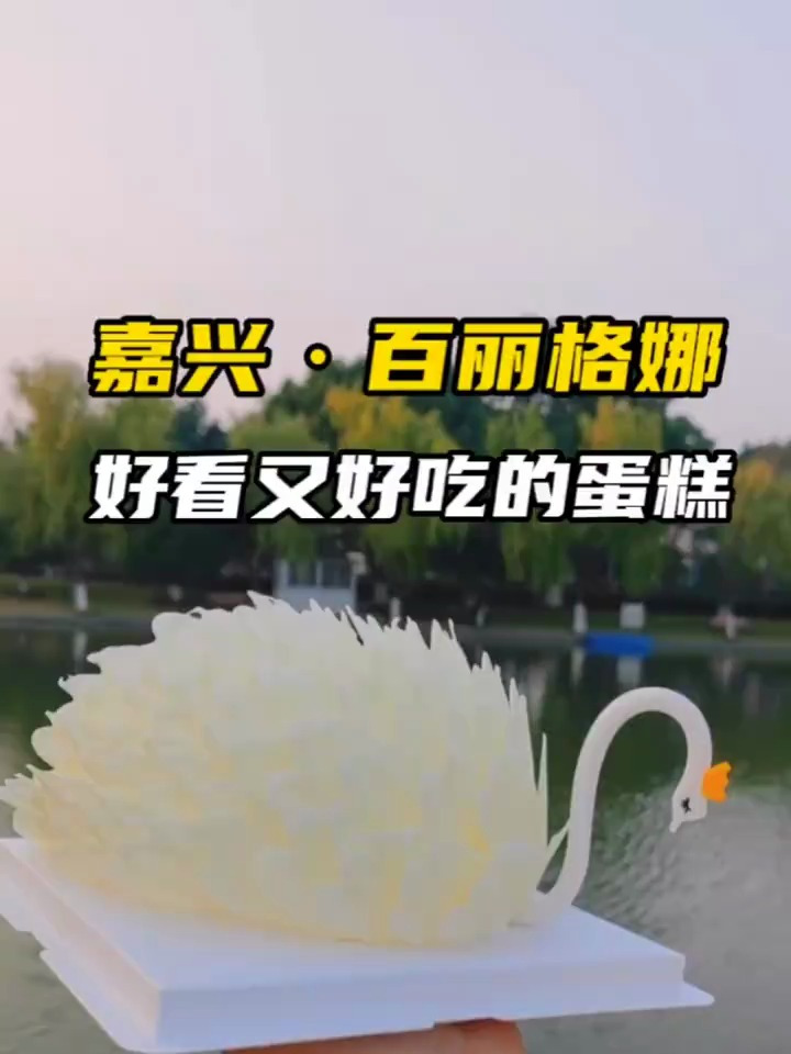 这么好看的白天鹅蛋糕嘉兴也有了而且才158十公里内还free送上门