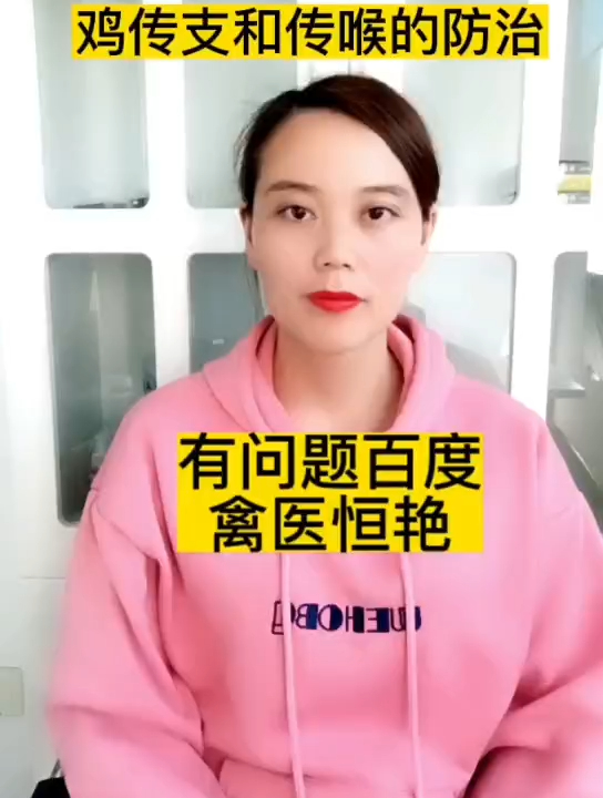 禽医恒艳讲传喉与传支的区别如何防治
