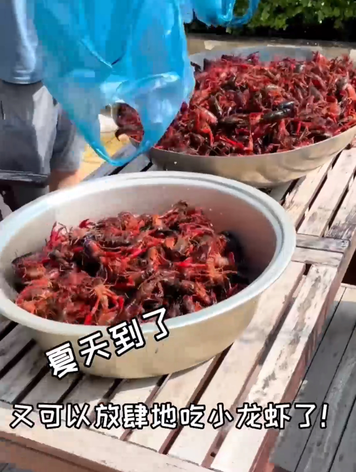 我最近好奇,小龙虾肉做成丸子能好吃吗?