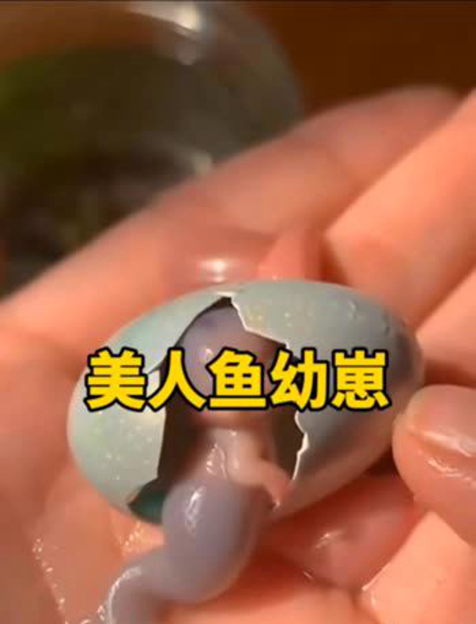 这小美人鱼宝宝也太萌了吧?