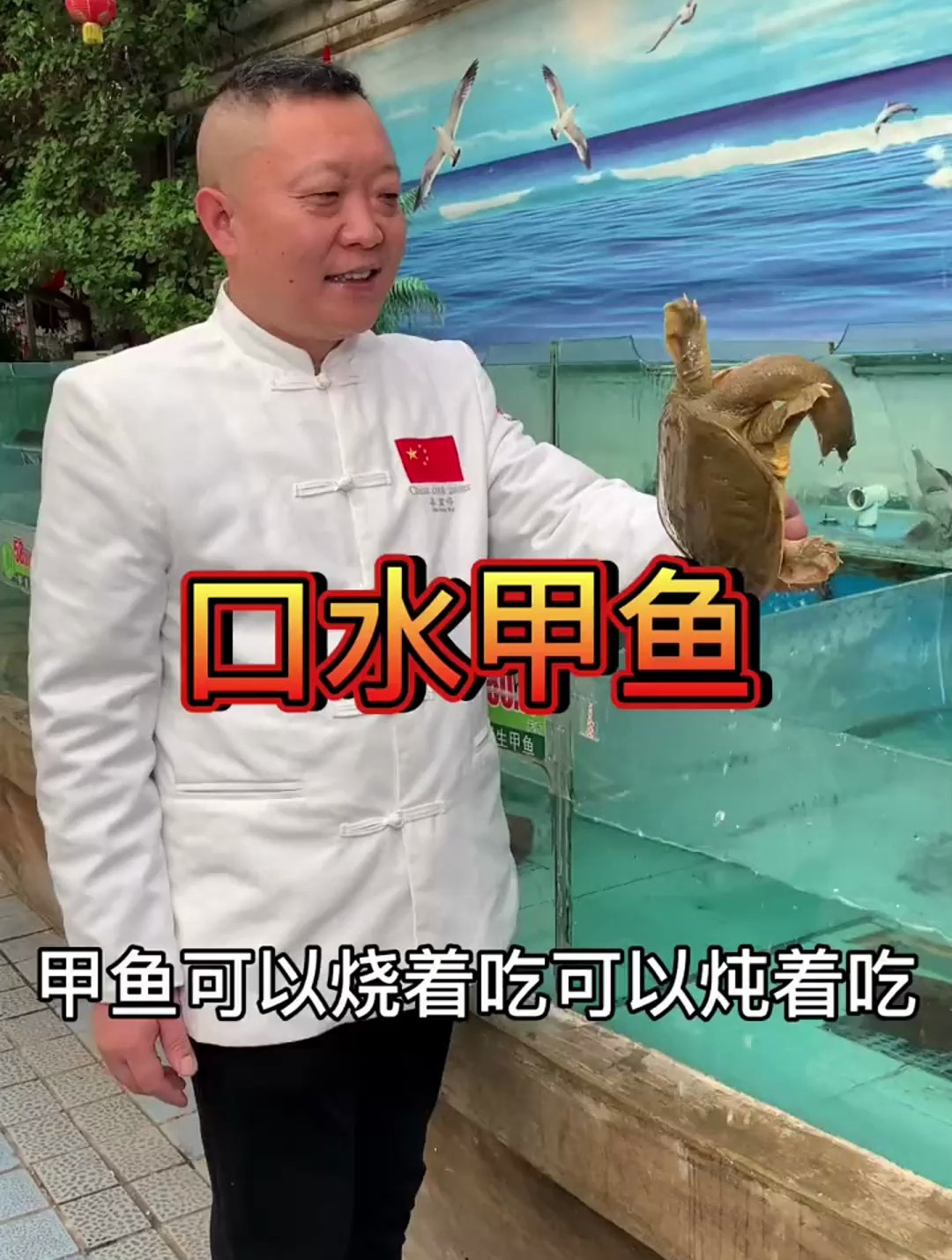 今天来个口水甲鱼,美味,养生