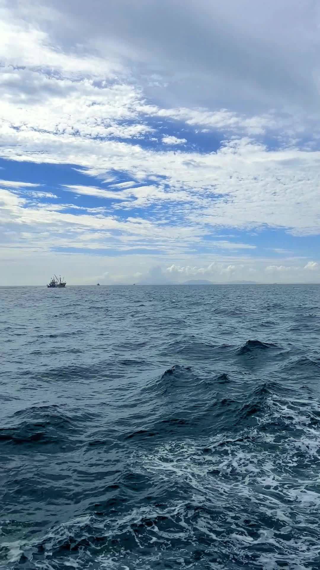 吃过的人才明白黄鱼与黄鱼的区别 人吃和做饲料是完全是两个品种