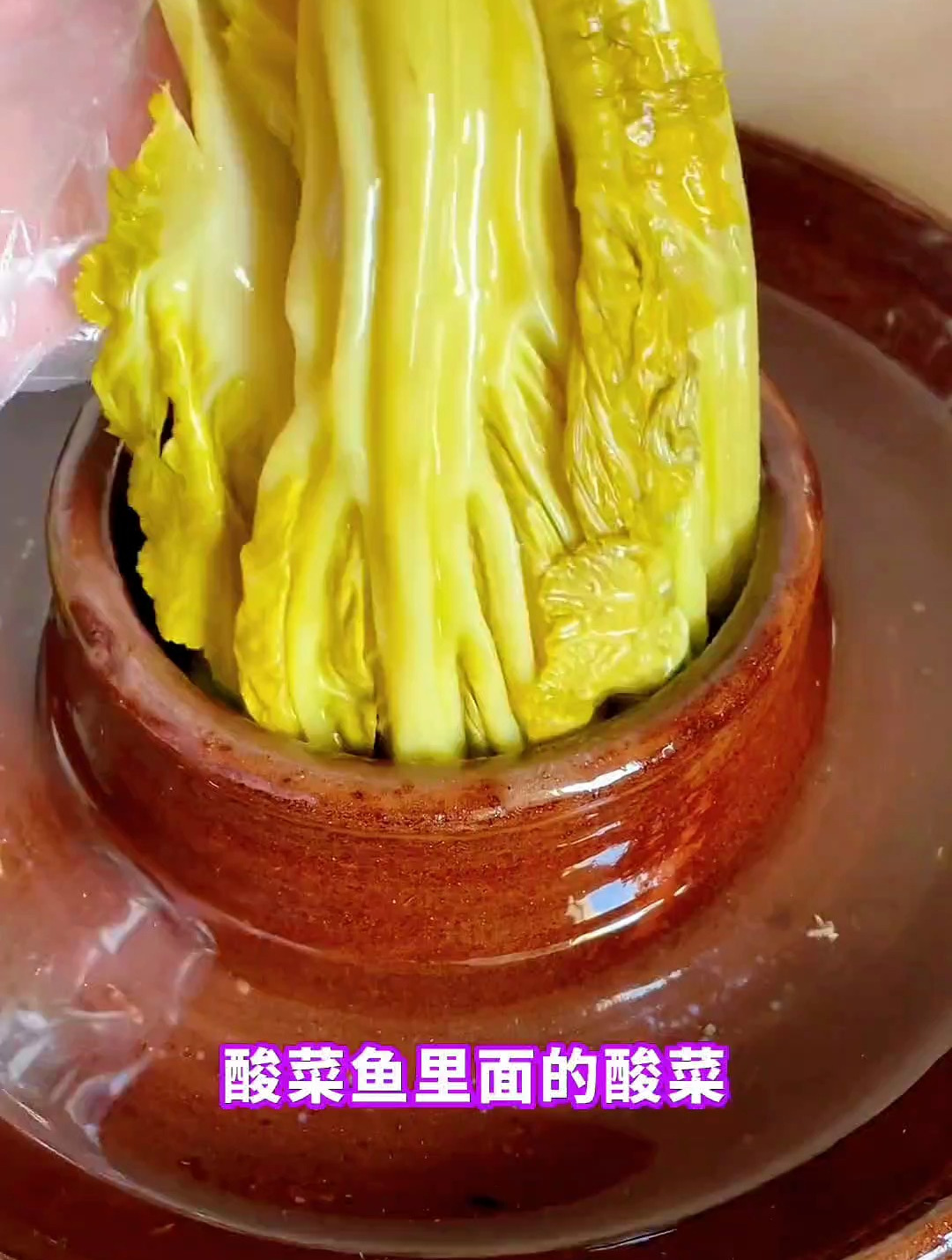 都知道四川的酸菜鱼好吃,但你知道里面的酸菜是怎样做的吗